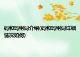 码和玛组词介绍(码和玛组词详细情况如何)