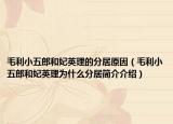 毛利小五郎和妃英理的分居原因（毛利小五郎和妃英理为什么分居简介介绍）