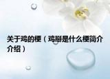 关于鸡的梗（鸡掰是什么梗简介介绍）