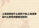 上海话嗲是什么意思介绍(上海话嗲是什么意思详细情况如何)