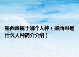 墨西哥属于哪个人种（墨西哥是什么人种简介介绍）