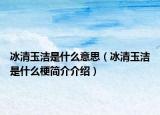 冰清玉洁是什么意思（冰清玉洁是什么梗简介介绍）