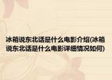 冰箱说东北话是什么电影介绍(冰箱说东北话是什么电影详细情况如何)