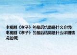 电视剧《孝子》的最后结局是什么介绍(电视剧《孝子》的最后结局是什么详细情况如何)
