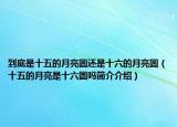 到底是十五的月亮圆还是十六的月亮圆（十五的月亮是十六圆吗简介介绍）