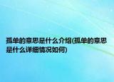 孤单的意思是什么介绍(孤单的意思是什么详细情况如何)