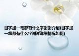 目字加一笔都有什么字谢谢介绍(目字加一笔都有什么字谢谢详细情况如何)