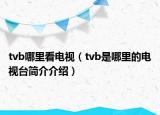 tvb哪里看电视（tvb是哪里的电视台简介介绍）