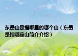 东岳山是指哪里的哪个山（东岳是指哪座山简介介绍）