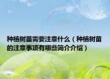 种植树苗需要注意什么（种植树苗的注意事项有哪些简介介绍）