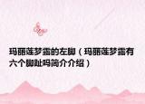 玛丽莲梦露的左脚（玛丽莲梦露有六个脚趾吗简介介绍）