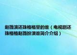 赵薇演还珠格格里的谁（电视剧还珠格格赵薇扮演谁简介介绍）