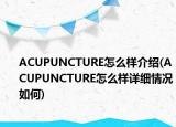 ACUPUNCTURE怎么样介绍(ACUPUNCTURE怎么样详细情况如何)