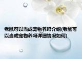 老鼠可以当成宠物养吗介绍(老鼠可以当成宠物养吗详细情况如何)