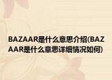BAZAAR是什么意思介绍(BAZAAR是什么意思详细情况如何)
