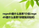 regedit是什么意思?介绍(regedit是什么意思?详细情况如何)
