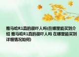雅马哈R1真的很吓人吗(在哪里能买到介绍 雅马哈R1真的很吓人吗 在哪里能买到详细情况如何)