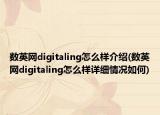 数英网digitaling怎么样介绍(数英网digitaling怎么样详细情况如何)