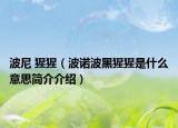 波尼 猩猩（波诺波黑猩猩是什么意思简介介绍）