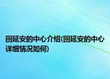 回延安的中心介绍(回延安的中心详细情况如何)