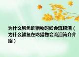 为什么鳄鱼吃猎物时候会流眼泪（为什么鳄鱼在吃猎物会流泪简介介绍）