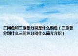 三间色和三原色分别是什么颜色（三原色分别什么三间色分别什么简介介绍）