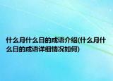 什么月什么日的成语介绍(什么月什么日的成语详细情况如何)