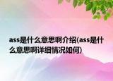 ass是什么意思啊介绍(ass是什么意思啊详细情况如何)