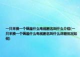 一只羊换一个锅是什么电视剧名叫什么介绍(一只羊换一个锅是什么电视剧名叫什么详细情况如何)