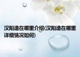 汉阳造在哪里介绍(汉阳造在哪里详细情况如何)