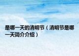 是哪一天的清明节（清明节是哪一天简介介绍）