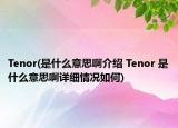 Tenor(是什么意思啊介绍 Tenor 是什么意思啊详细情况如何)