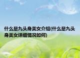 什么是九头身美女介绍(什么是九头身美女详细情况如何)