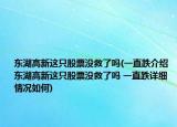 东湖高新这只股票没救了吗(一直跌介绍 东湖高新这只股票没救了吗 一直跌详细情况如何)