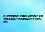 怎么给狗狗取名字(小狗取什么名字好听介绍 怎么给狗狗取名字 小狗取什么名字好听详细情况如何)