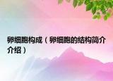 卵细胞构成（卵细胞的结构简介介绍）