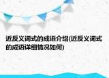 近反义词式的成语介绍(近反义词式的成语详细情况如何)