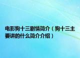 电影狗十三剧情简介（狗十三主要讲的什么简介介绍）