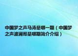 中国梦之声马涛是哪一期（中国梦之声波澜哥是哪期简介介绍）