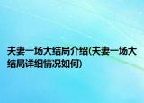 夫妻一场大结局介绍(夫妻一场大结局详细情况如何)