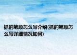 抓的笔顺怎么写介绍(抓的笔顺怎么写详细情况如何)