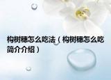 构树穗怎么吃法（构树穗怎么吃简介介绍）