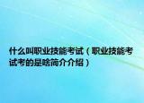 什么叫职业技能考试（职业技能考试考的是啥简介介绍）