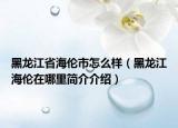 黑龙江省海伦市怎么样（黑龙江海伦在哪里简介介绍）