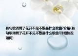 有句歌词栀子花开不见不散是什么歌曲?介绍(有句歌词栀子花开不见不散是什么歌曲?详细情况如何)