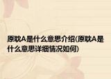 原耽A是什么意思介绍(原耽A是什么意思详细情况如何)