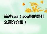 简述soa（soa指的是什么简介介绍）