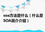soa方法是什么（什么是SOA简介介绍）