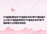 XY是指的男性吗?XX是指女性吗?那YX指的是什么介绍(XY是指的男性吗?XX是指女性吗?那YX指的是什么详细情况如何)