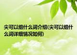 尖可以组什么词介绍(尖可以组什么词详细情况如何)